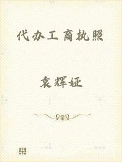 代办工商执照