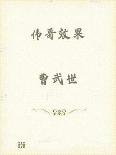 伟哥效果