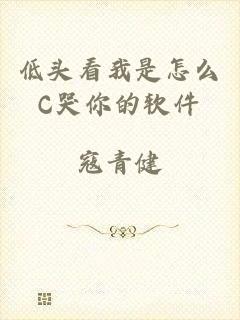 低头看我是怎么C哭你的软件