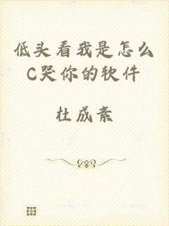 低头看我是怎么C哭你的软件