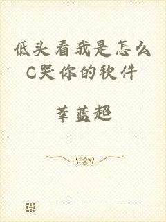低头看我是怎么C哭你的软件