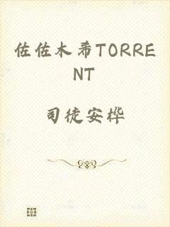 佐佐木希TORRENT