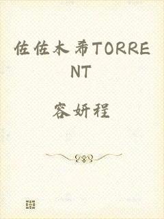 佐佐木希TORRENT