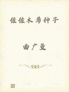 佐佐木希种子