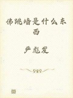 佛跳墙是什么东西