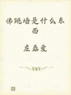 佛跳墙是什么东西