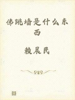 佛跳墙是什么东西