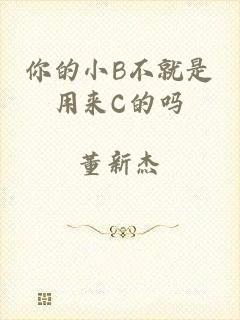 你的小B不就是用来C的吗