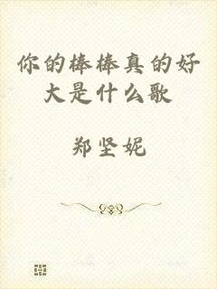 你的棒棒真的好大是什么歌