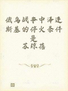 俄乌战争中泽连斯基的停火条件是