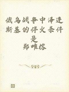 俄乌战争中泽连斯基的停火条件是