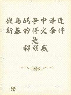 俄乌战争中泽连斯基的停火条件是