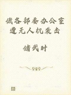 俄各部委办公室遭无人机袭击