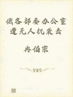 俄各部委办公室遭无人机袭击