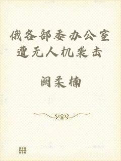 俄各部委办公室遭无人机袭击