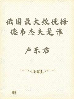 俄国最大叛徒梅德韦杰夫是谁