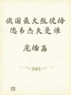 俄国最大叛徒梅德韦杰夫是谁