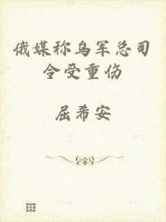 俄媒称乌军总司令受重伤