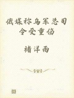 俄媒称乌军总司令受重伤