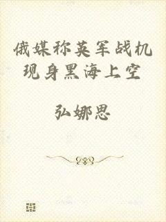 俄媒称英军战机现身黑海上空