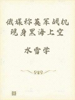 俄媒称英军战机现身黑海上空