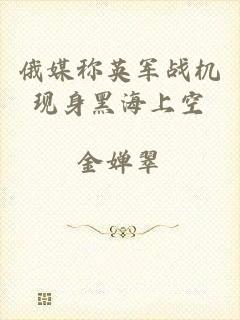 俄媒称英军战机现身黑海上空