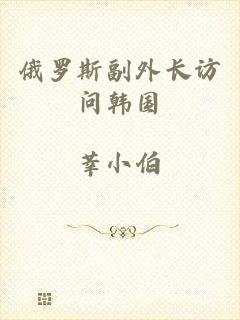 俄罗斯副外长访问韩国