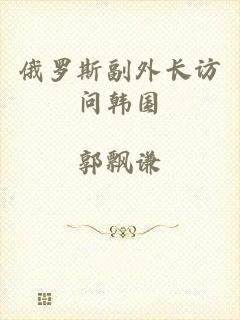 俄罗斯副外长访问韩国