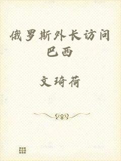 俄罗斯外长访问巴西