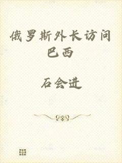 俄罗斯外长访问巴西