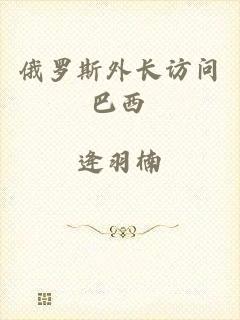 俄罗斯外长访问巴西