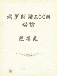 俄罗斯猪ZOOM动物