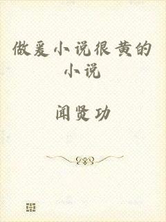 做爰小说很黄的小说