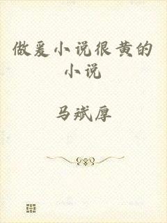 做爰小说很黄的小说