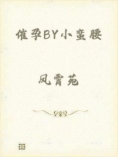 催孕BY小蛮腰