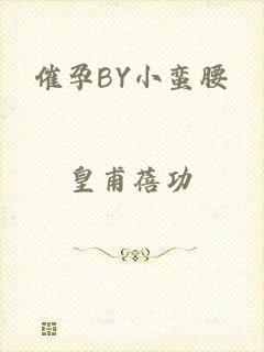 催孕BY小蛮腰