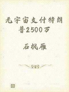 元宇宙支付特朗普2500万