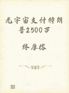 元宇宙支付特朗普2500万