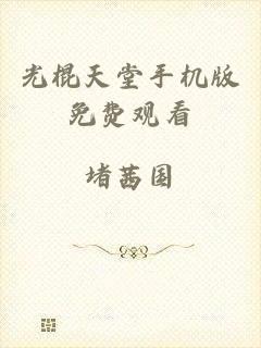光棍天堂手机版免费观看