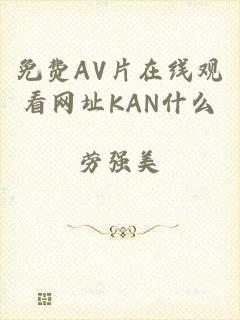 免费AV片在线观看网址KAN什么