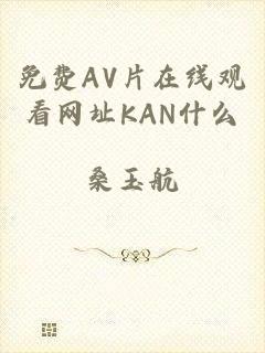 免费AV片在线观看网址KAN什么