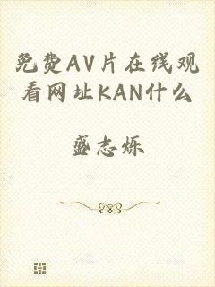 免费AV片在线观看网址KAN什么
