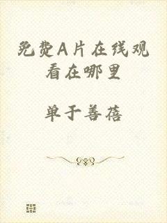 免费A片在线观看在哪里