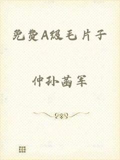 免费A级毛片子