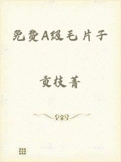 免费A级毛片子