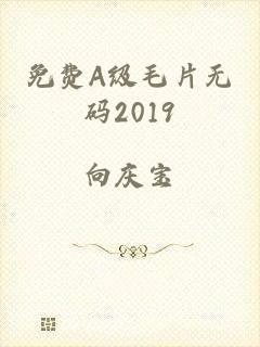 免费A级毛片无码2019