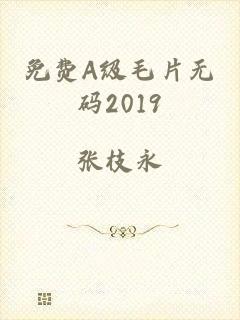 免费A级毛片无码2019