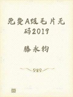 免费A级毛片无码2019