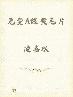 免费A级黄毛片