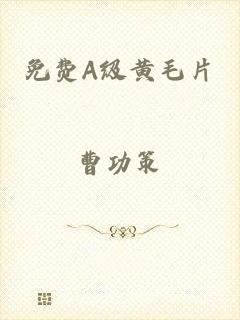 免费A级黄毛片
